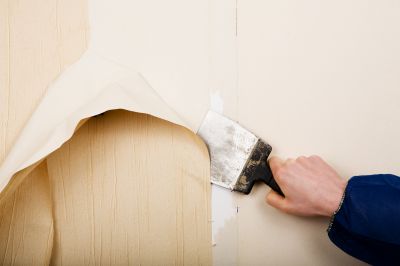 Skilled Wallpaper Repair Technician